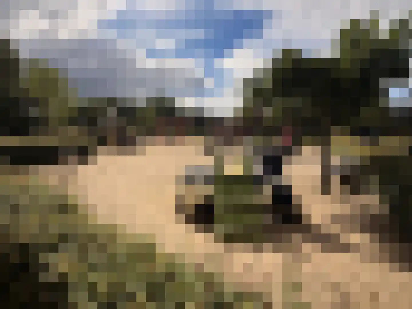 Langenakker 12 Rijsbergen thumbnail 36