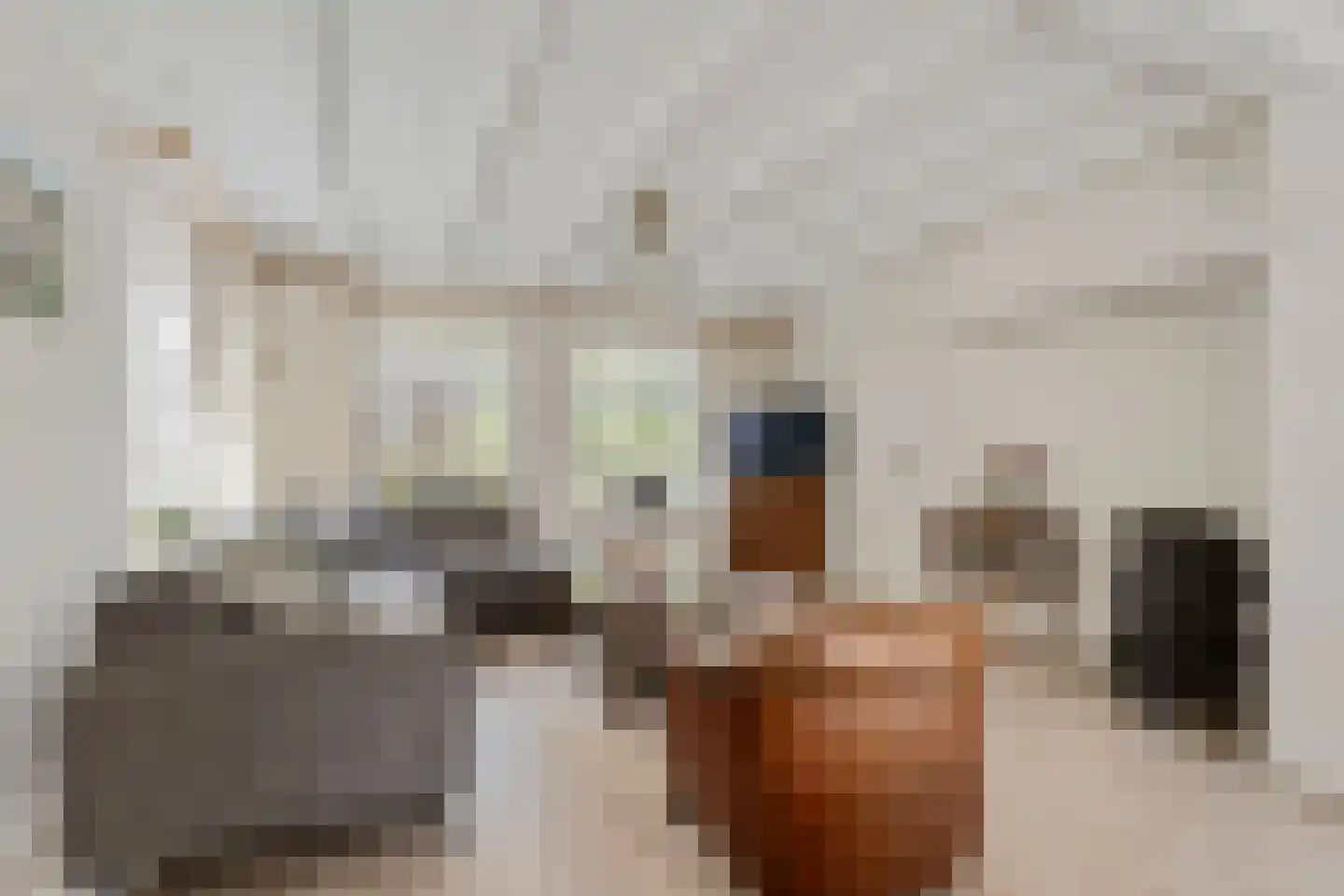 Langenakker 12 Rijsbergen thumbnail 6