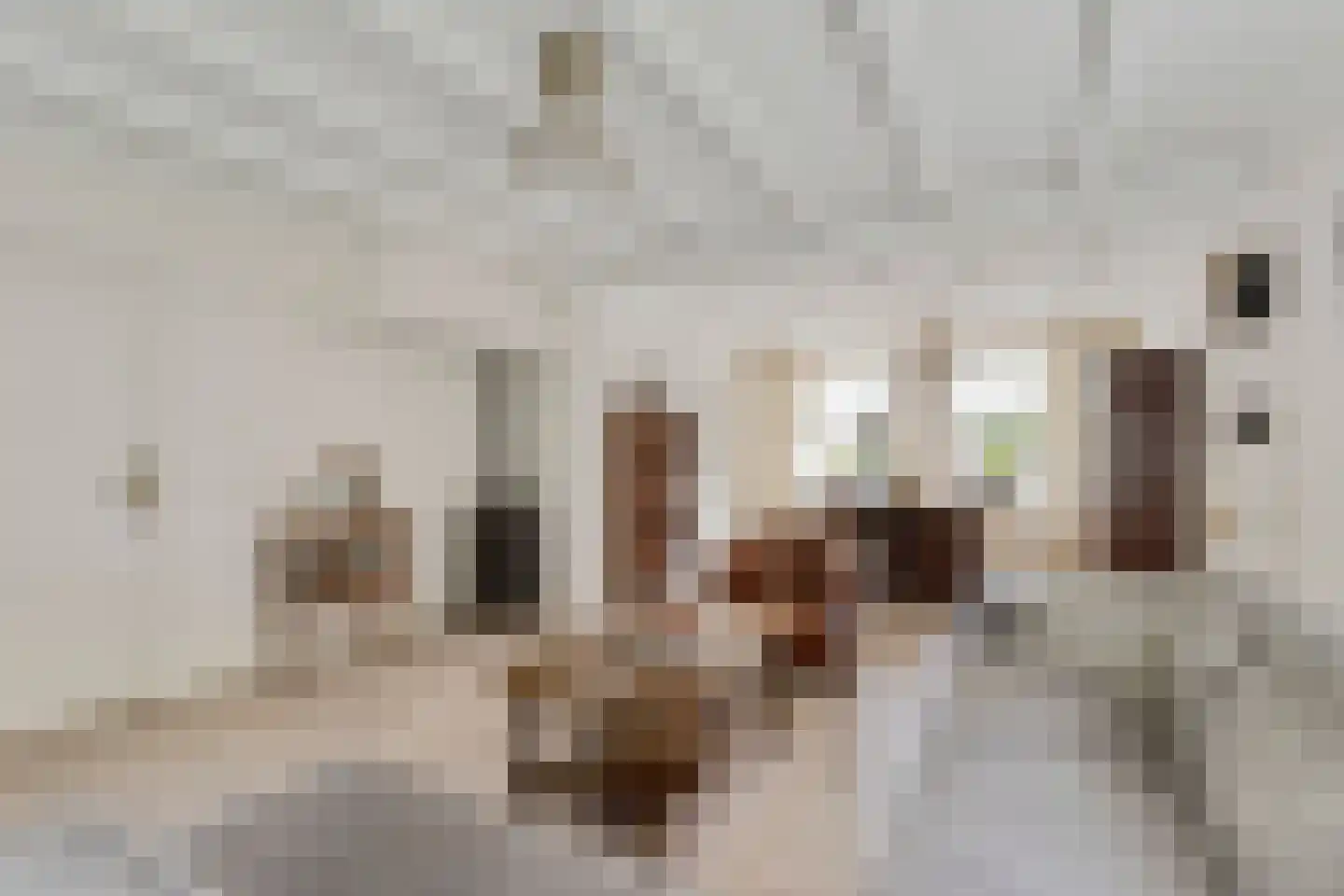 Langenakker 12 Rijsbergen thumbnail 8