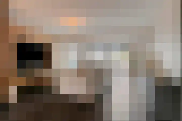 Langenakker 126 Mierlo thumbnail 10