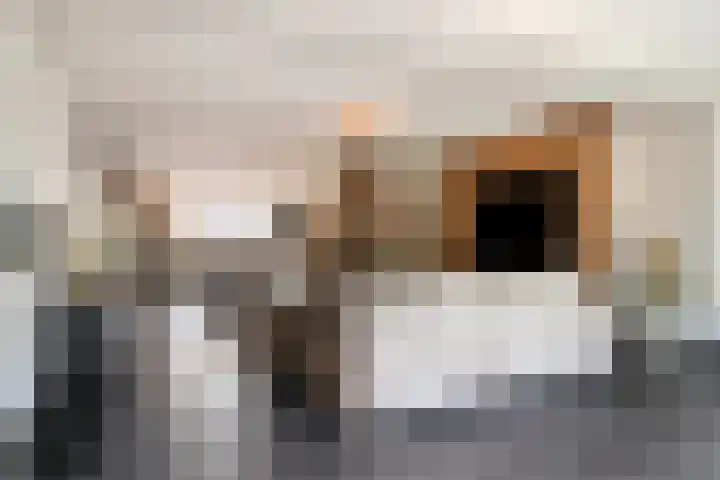 Langenakker 126 Mierlo thumbnail 12