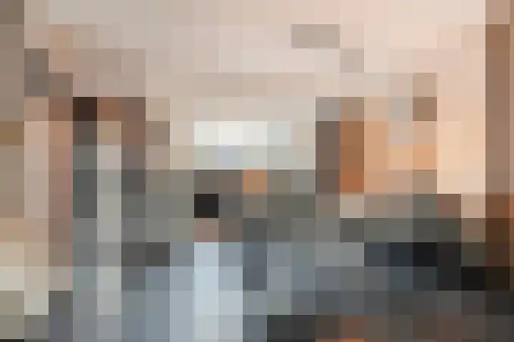 Langenakker 126 Mierlo thumbnail 14