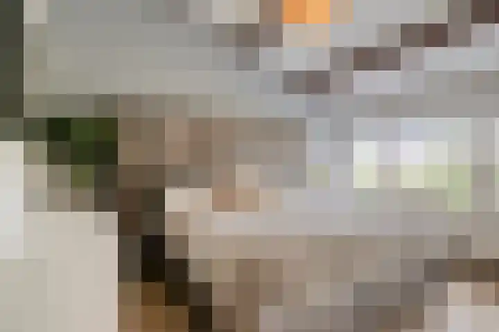Langenakker 126 Mierlo thumbnail 22