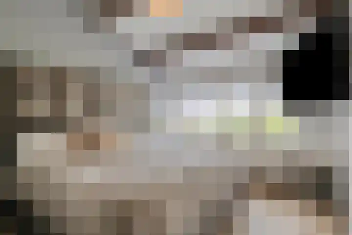 Langenakker 126 Mierlo thumbnail 23