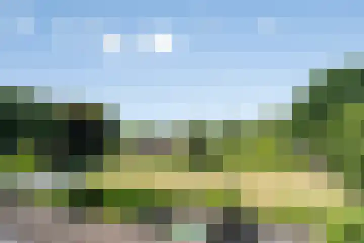 Langenakker 126 Mierlo thumbnail 34