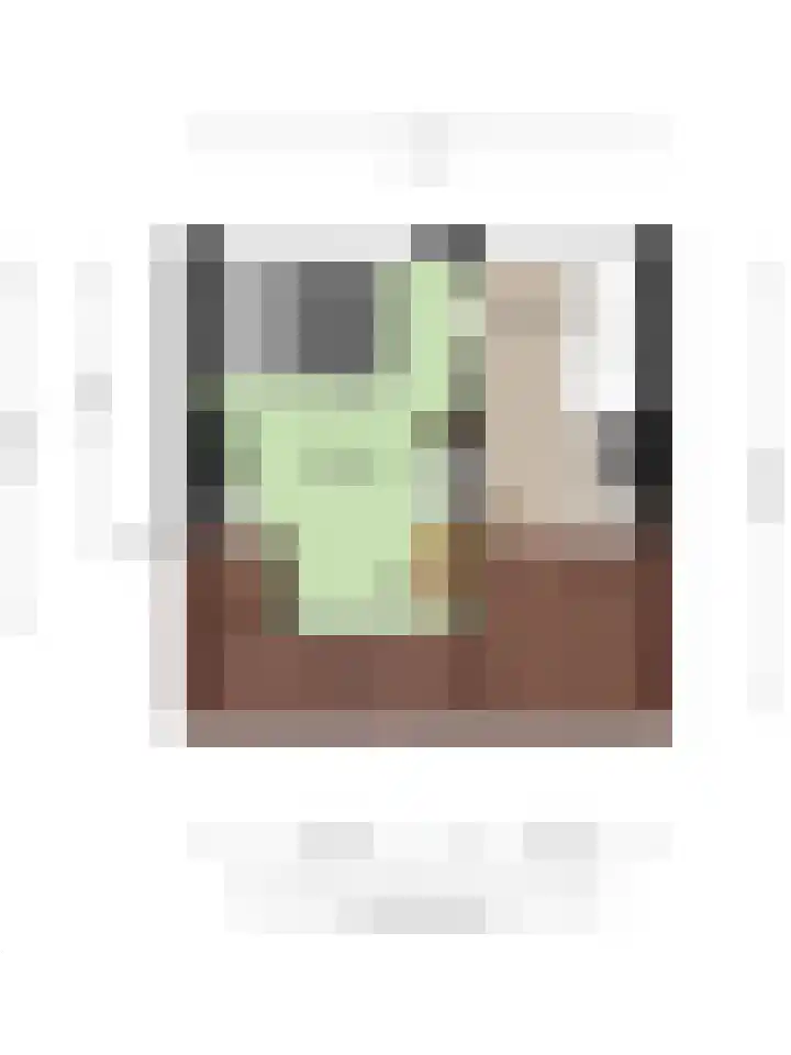 Langenakker 126 Mierlo thumbnail 35