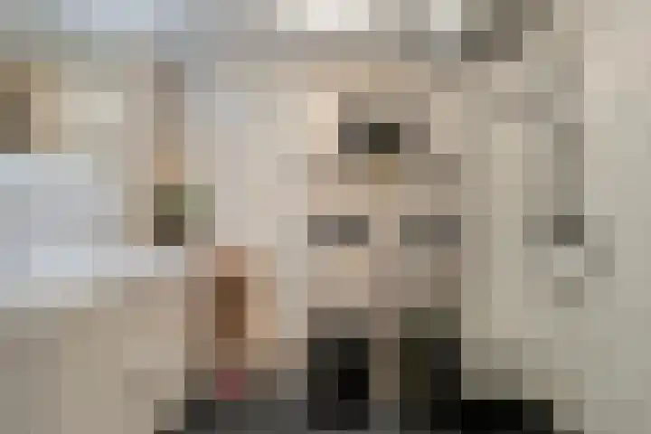 Langenakker 126 Mierlo thumbnail 4