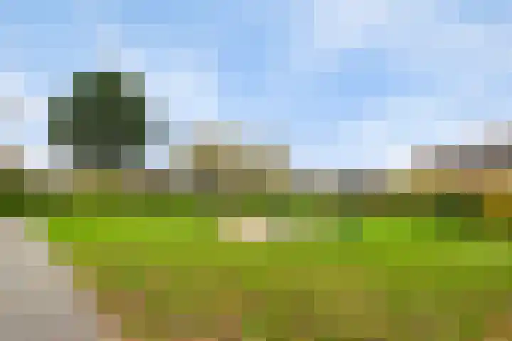 Langenakker 126 Mierlo thumbnail 41