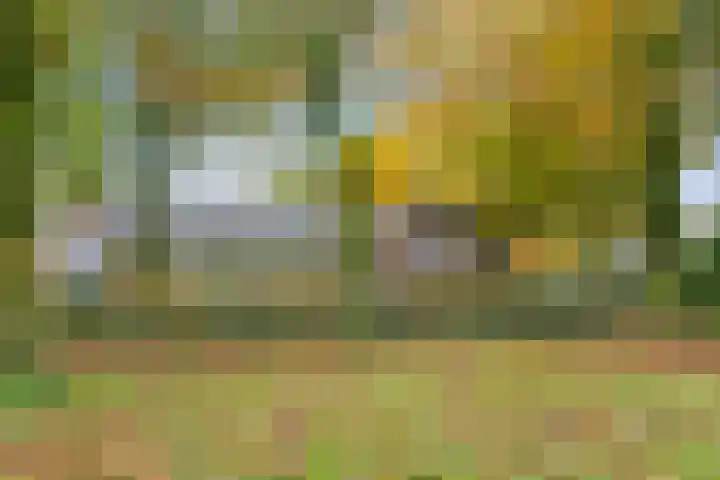 Langenakker 126 Mierlo thumbnail 42