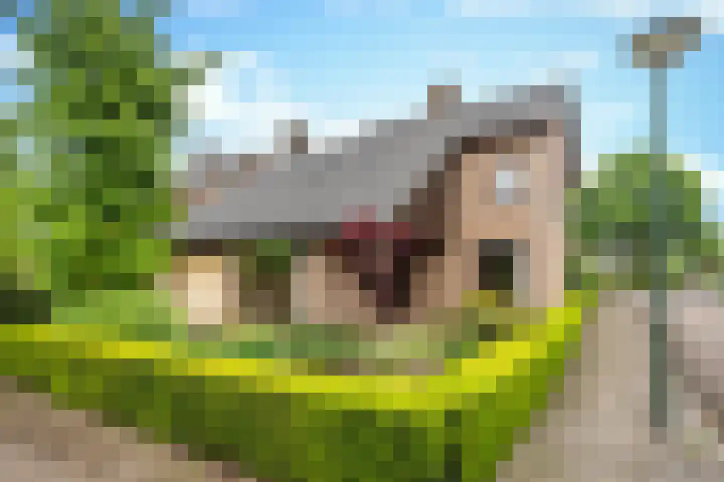 Langenakker 139 Mierlo thumbnail 11