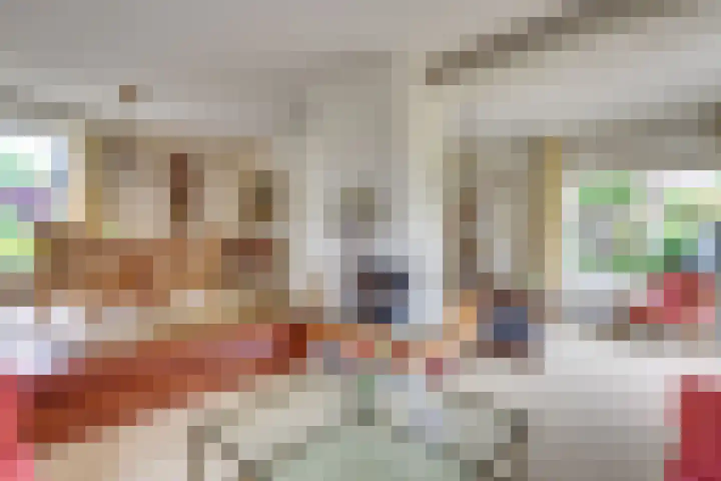 Langenakker 139 Mierlo thumbnail 14