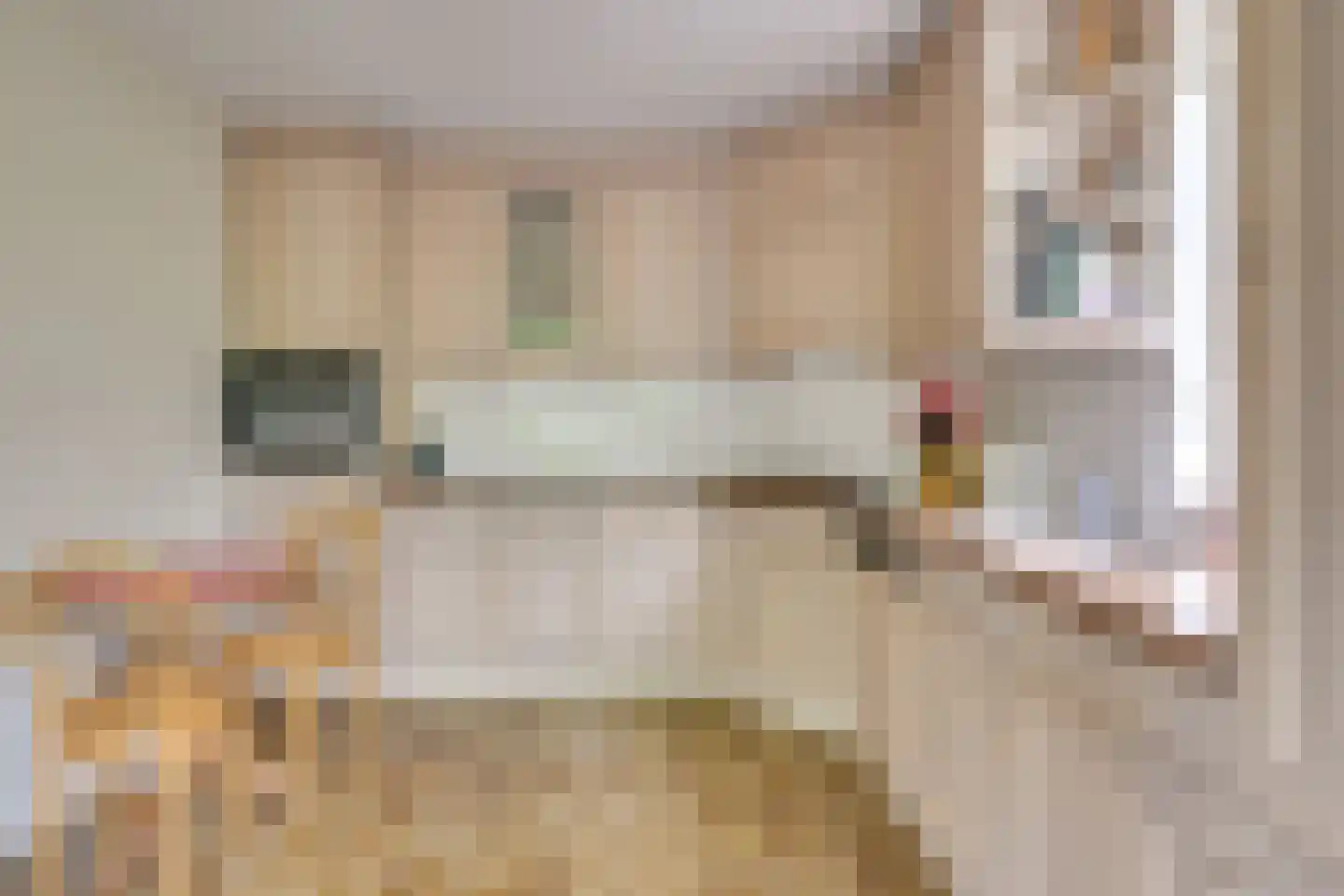 Langenakker 139 Mierlo thumbnail 21