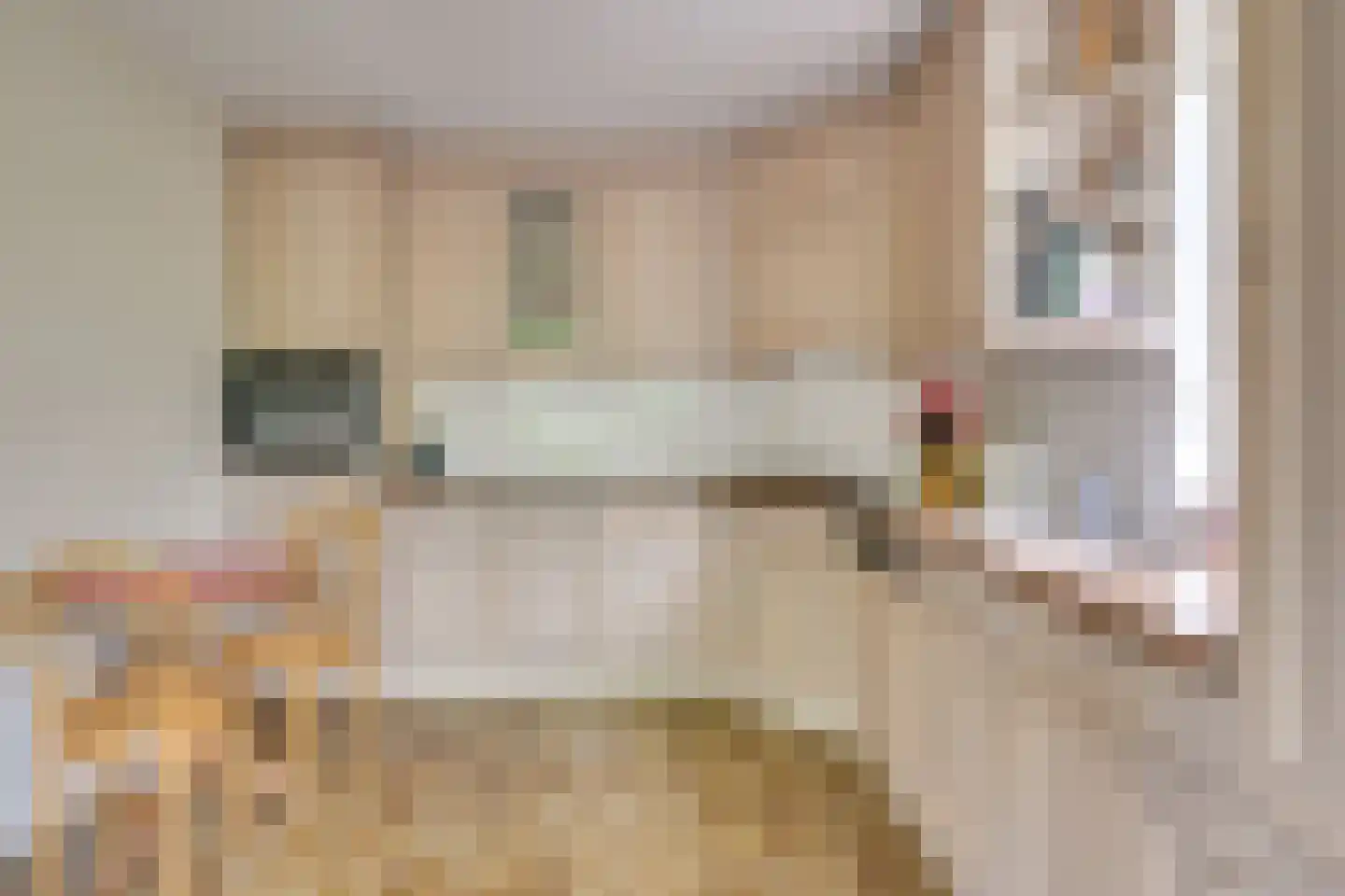 Langenakker 139 Mierlo thumbnail 21