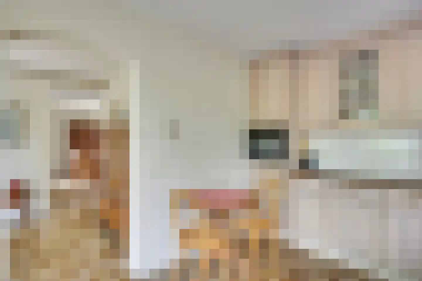 Langenakker 139 Mierlo thumbnail 22