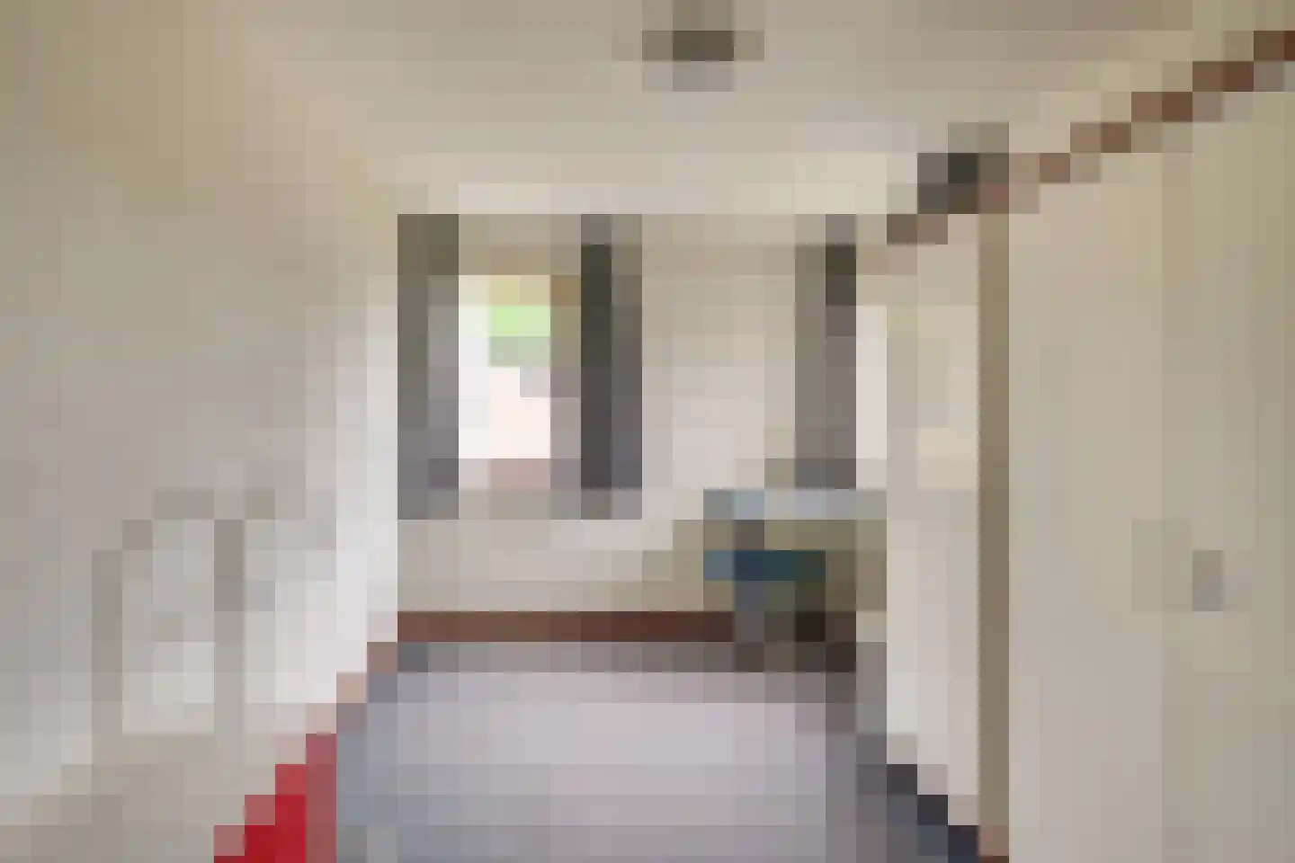 Langenakker 139 Mierlo thumbnail 30