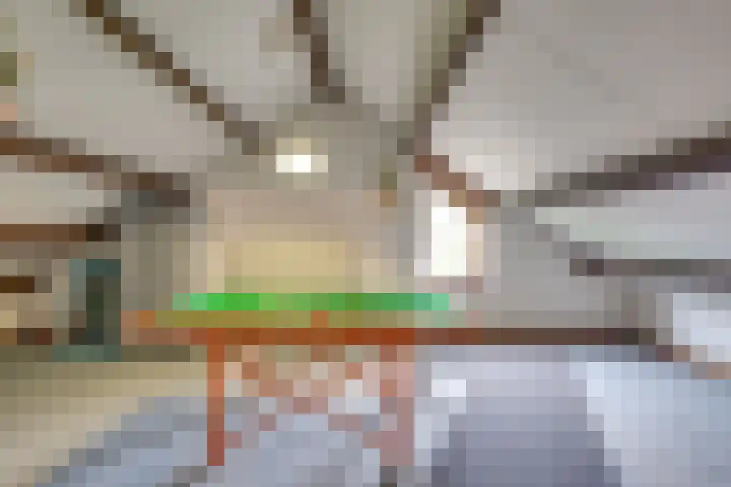 Langenakker 139 Mierlo thumbnail 33