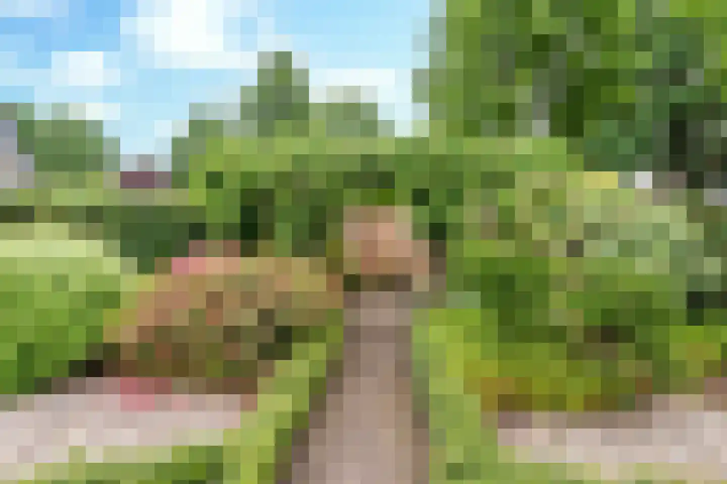 Langenakker 139 Mierlo thumbnail 39