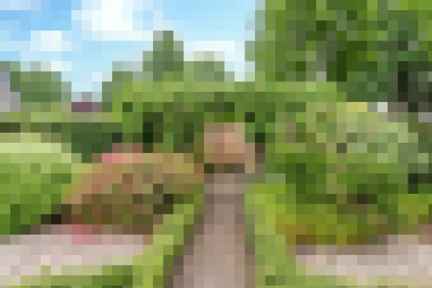 Langenakker 139 Mierlo thumbnail 39
