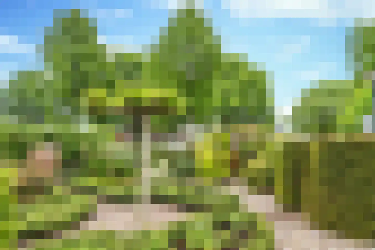 Langenakker 139 Mierlo thumbnail 40