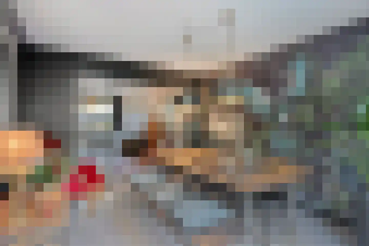 Langenakker 152 Mierlo thumbnail 16