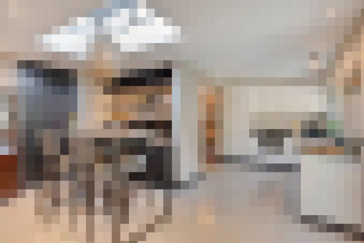 Langenakker 152 Mierlo thumbnail 18