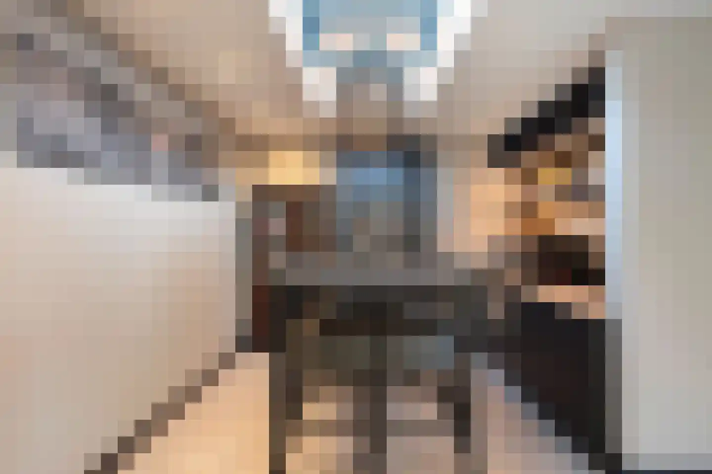 Langenakker 152 Mierlo thumbnail 19