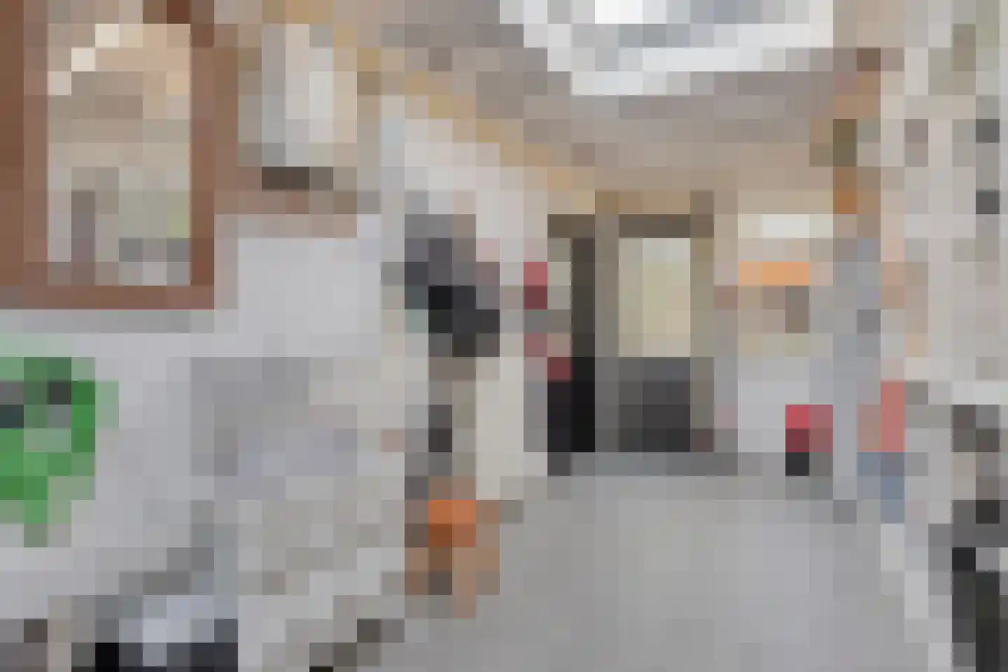 Langenakker 152 Mierlo thumbnail 25