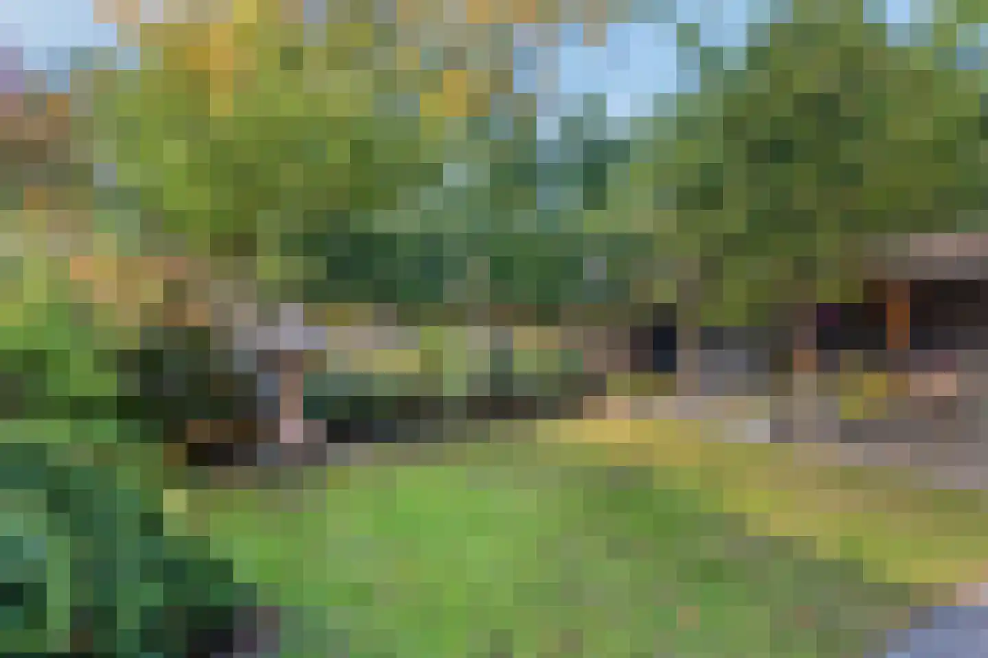 Langenakker 152 Mierlo thumbnail 27