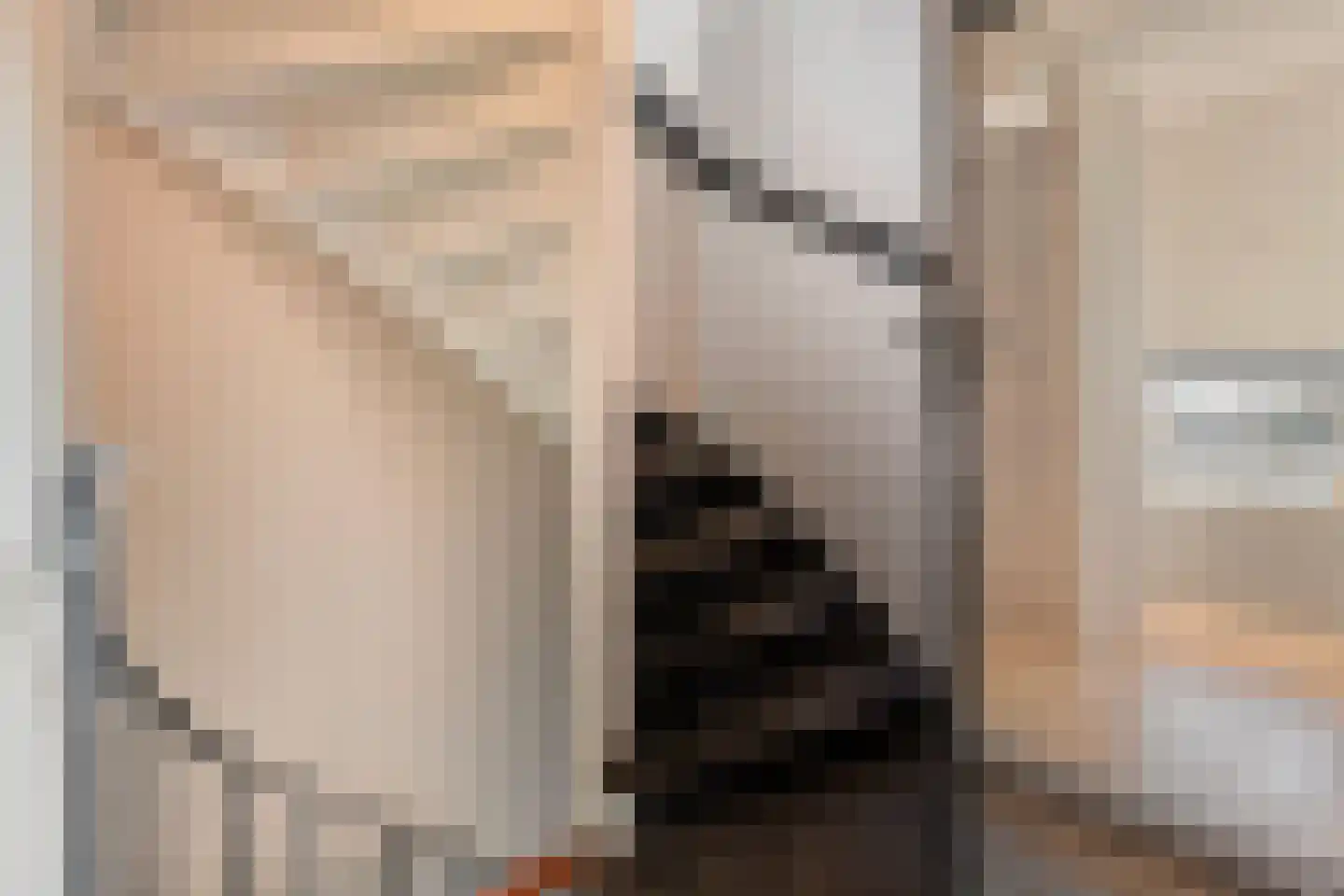 Langenakker 152 Mierlo thumbnail 29