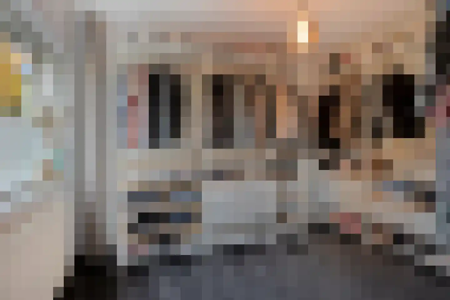 Langenakker 152 Mierlo thumbnail 32