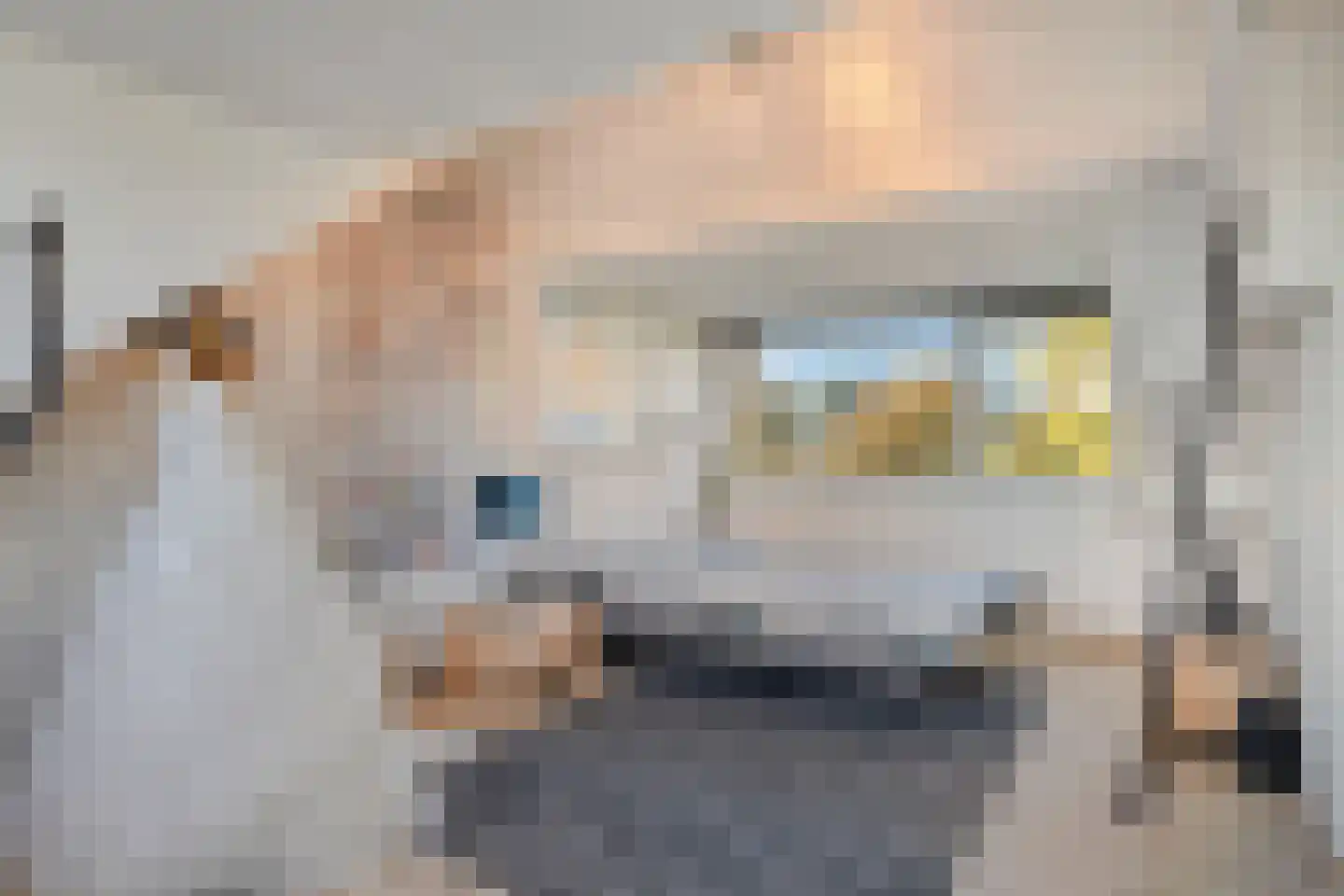 Langenakker 152 Mierlo thumbnail 39