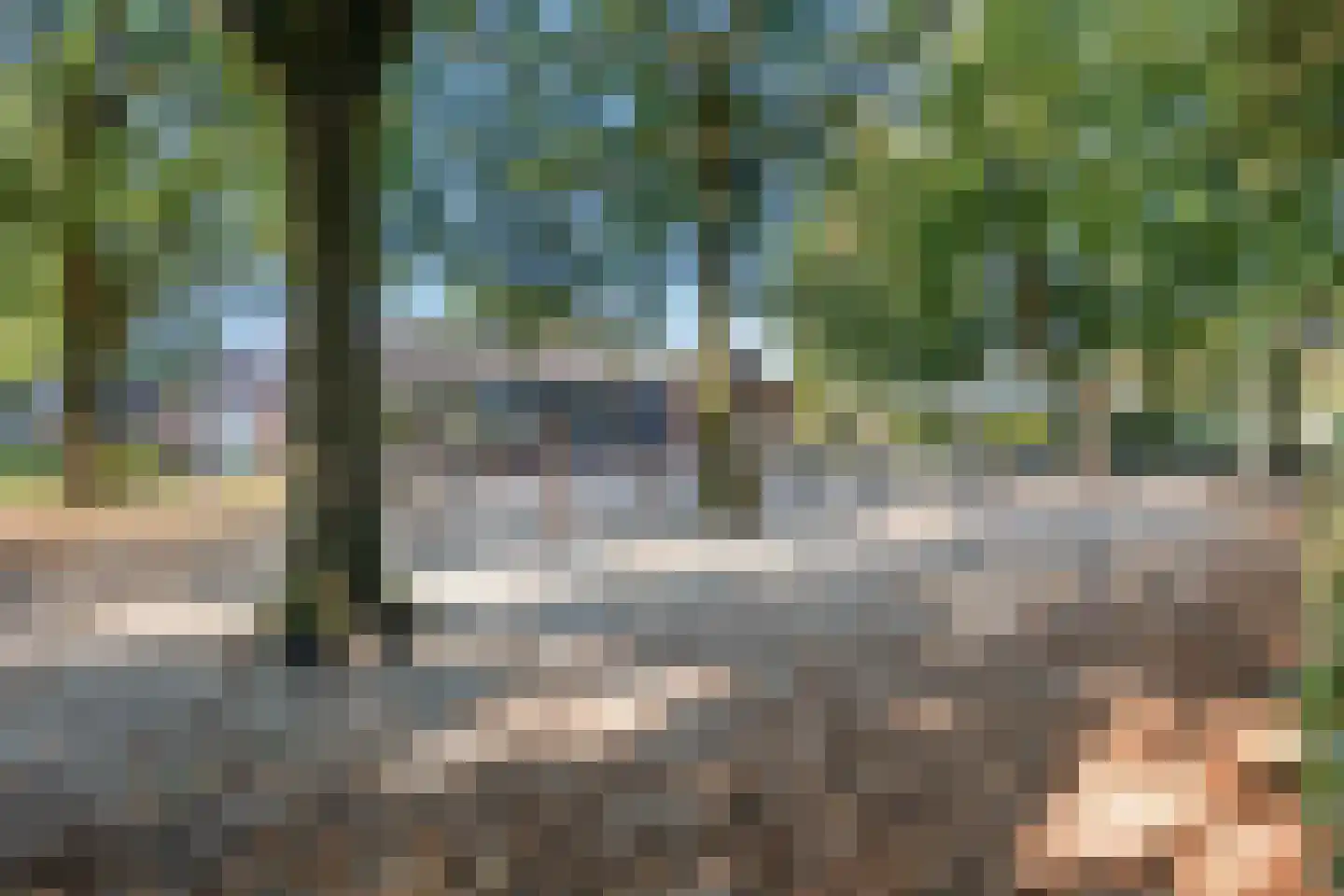 Langenakker 152 Mierlo thumbnail 48