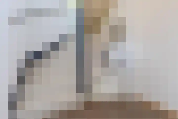 Langenakker 39 Mierlo thumbnail 37