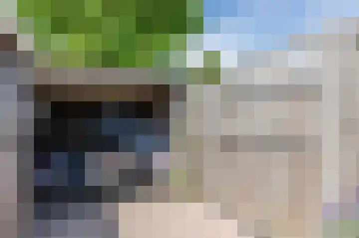 Langenakker 39 Mierlo thumbnail 49