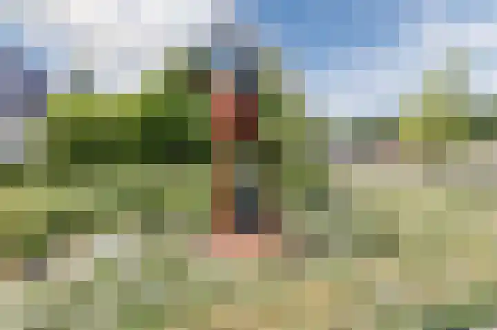 Langenakker 39 Mierlo thumbnail 53