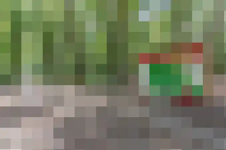 Langenakker 39 Mierlo thumbnail 54