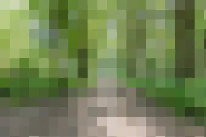 Langenakker 39 Mierlo thumbnail 55