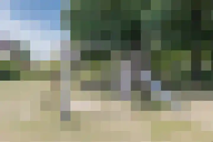 Langenakker 39 Mierlo thumbnail 56