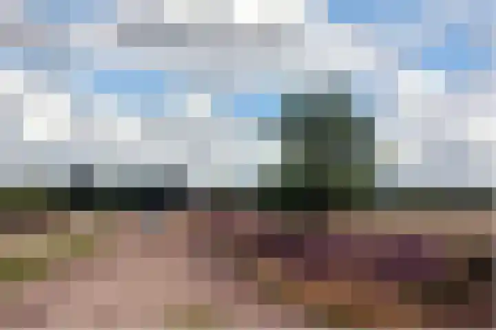 Langenakker 39 Mierlo thumbnail 59