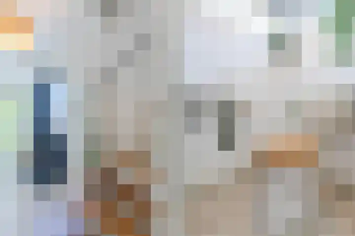 Langenakker 39 Mierlo thumbnail 8