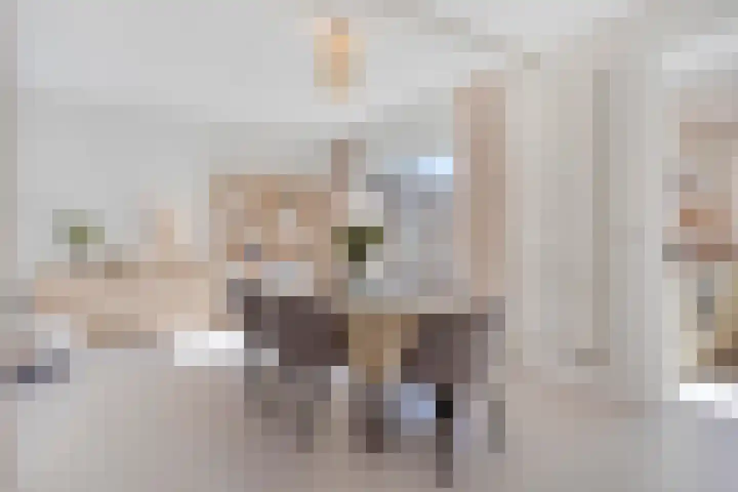 Langenakker 41 Mierlo thumbnail 13