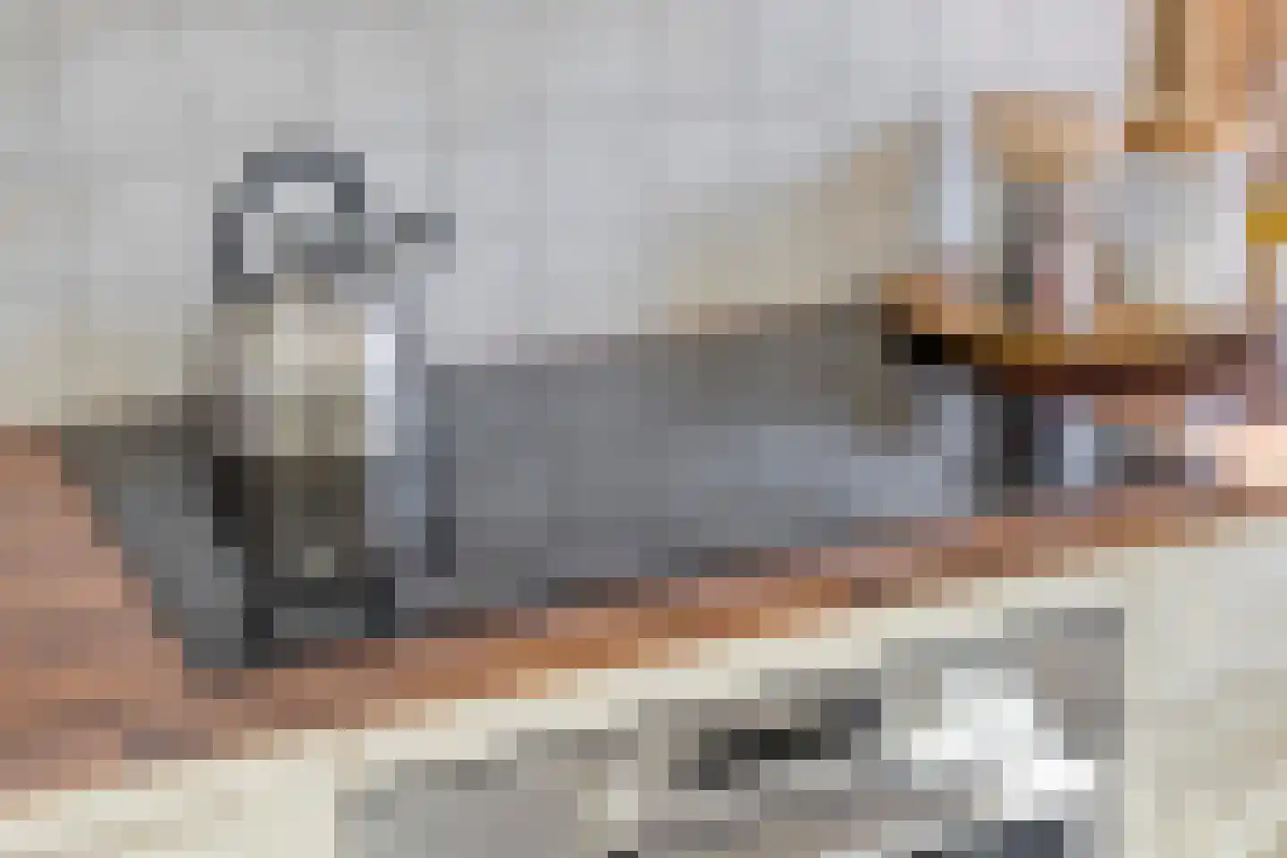 Langenakker 41 Mierlo thumbnail 17