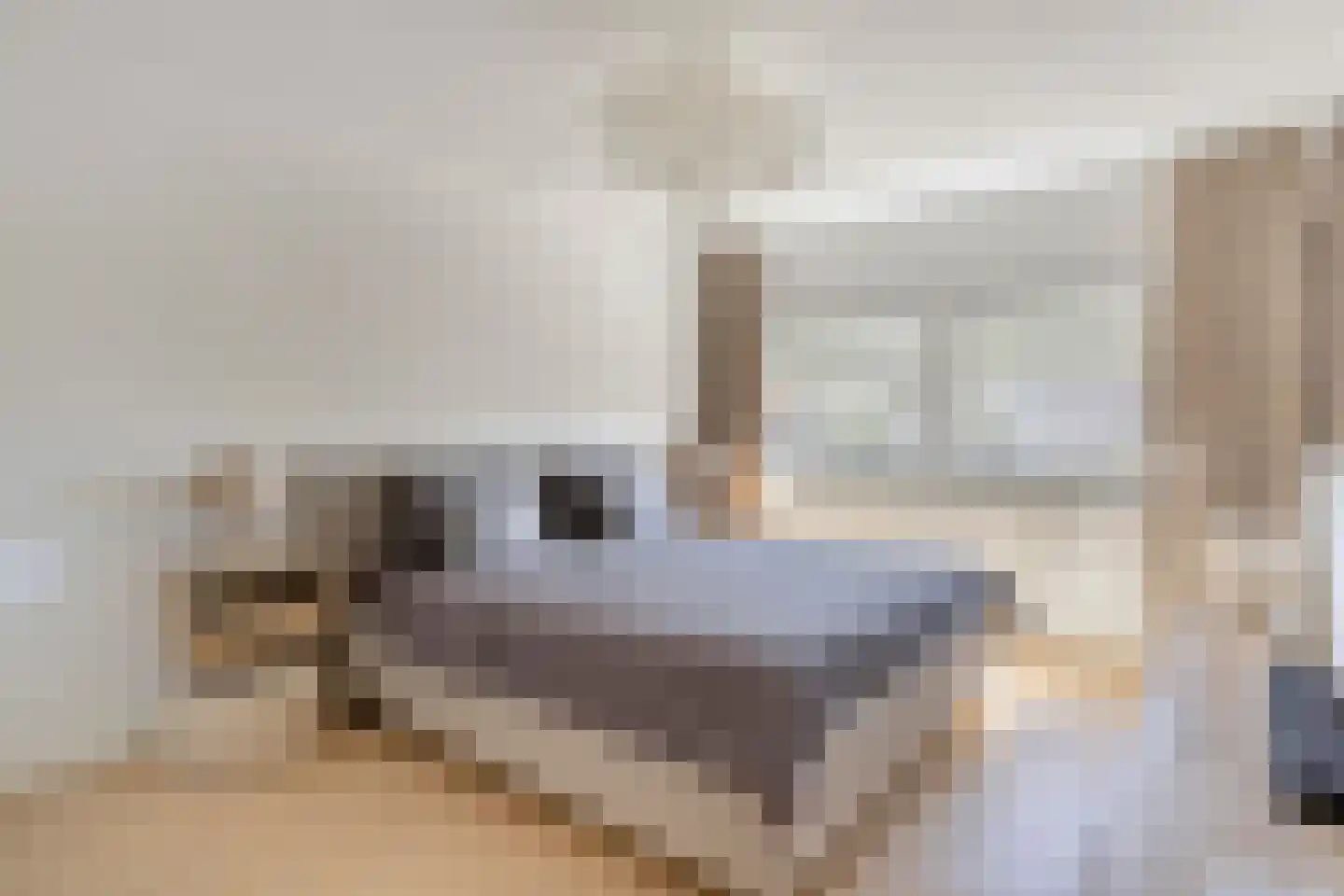 Langenakker 41 Mierlo thumbnail 25