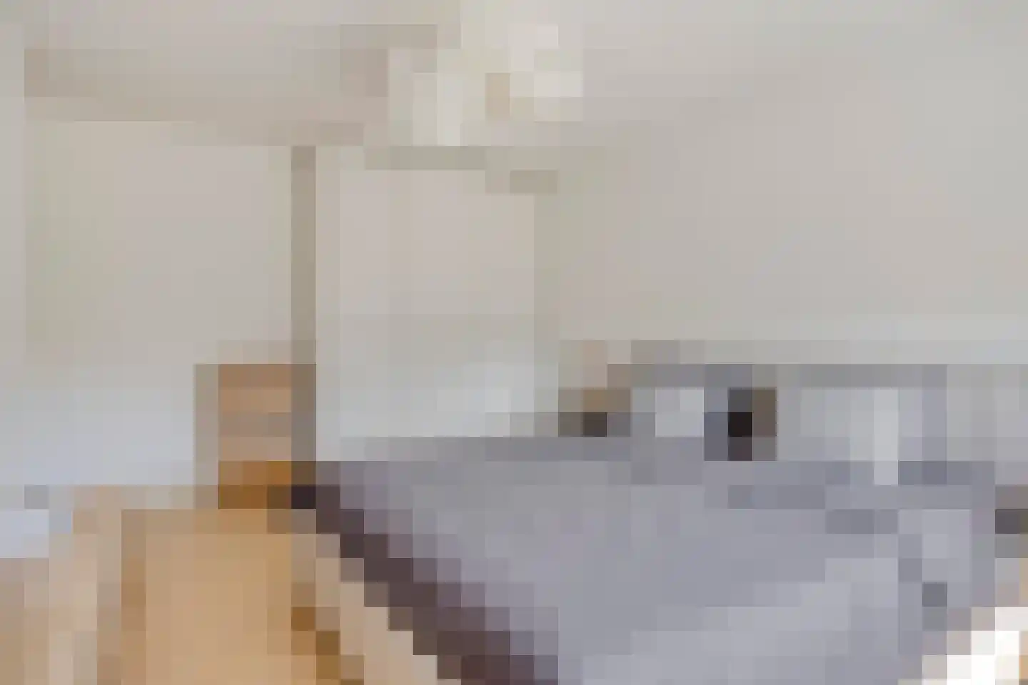 Langenakker 41 Mierlo thumbnail 26