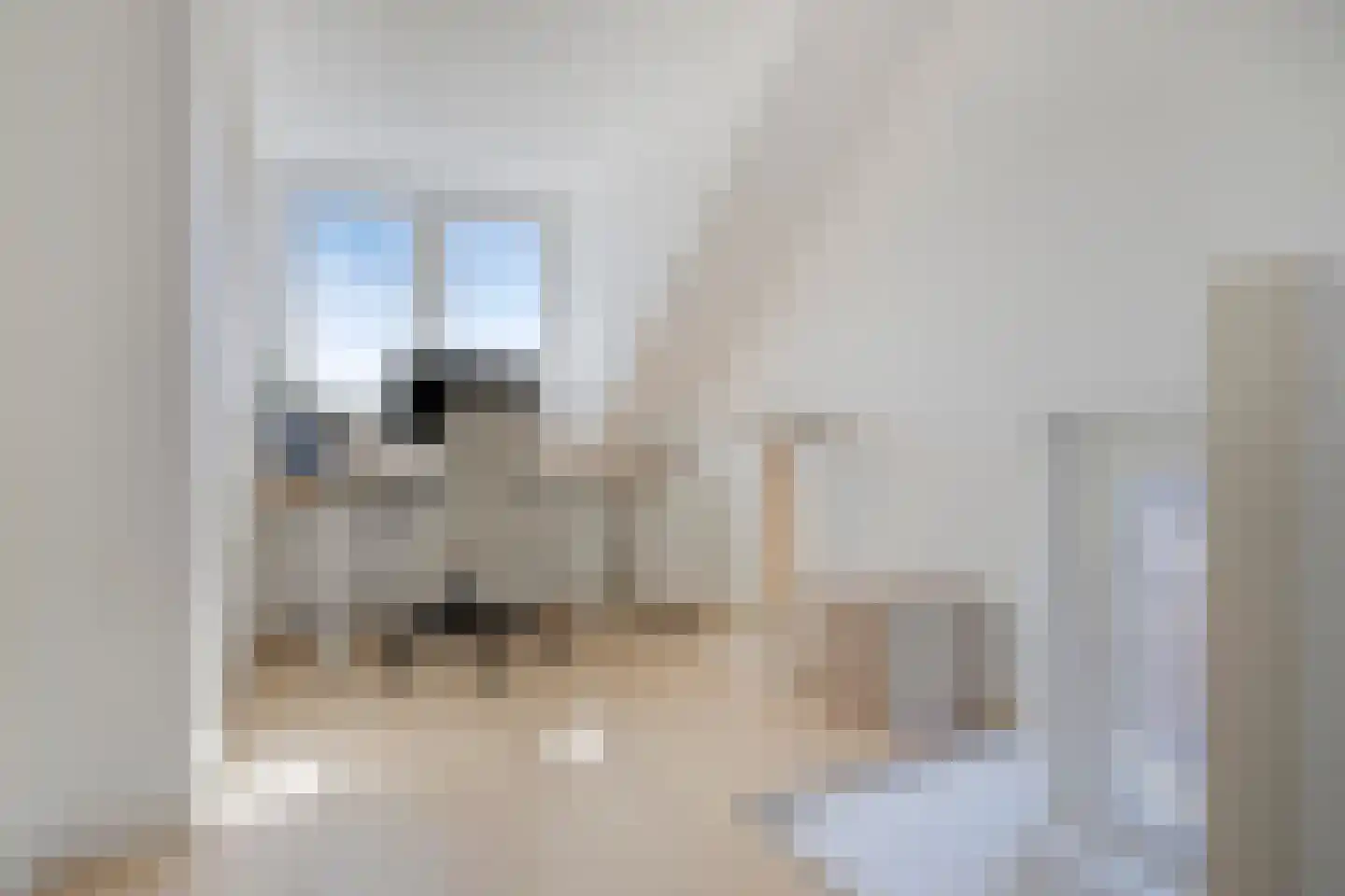 Langenakker 41 Mierlo thumbnail 34