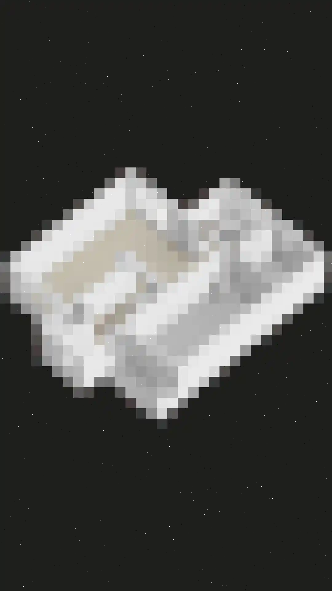 Langenakker 41 Mierlo thumbnail 48