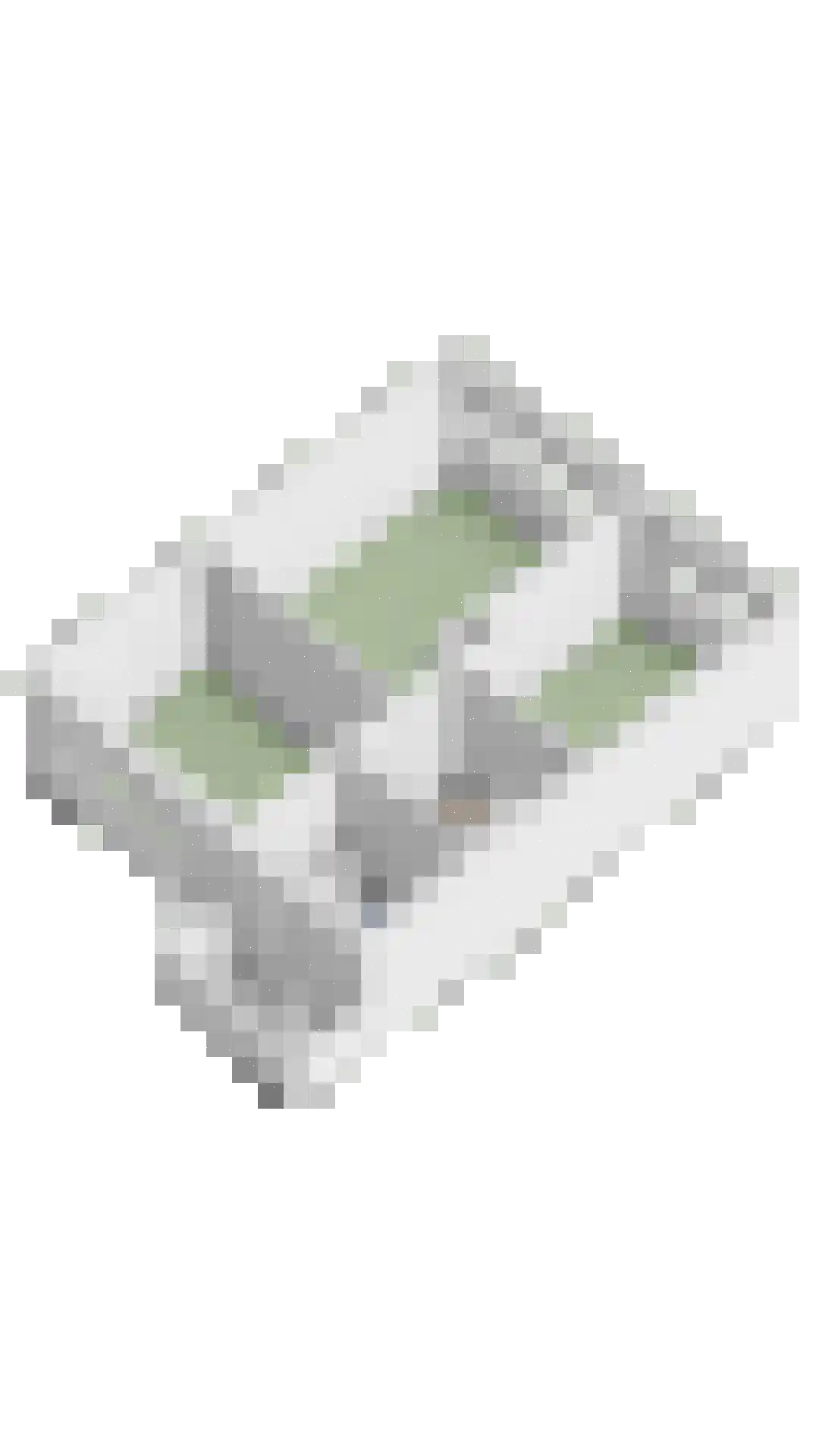 Langenakker 41 Mierlo thumbnail 49