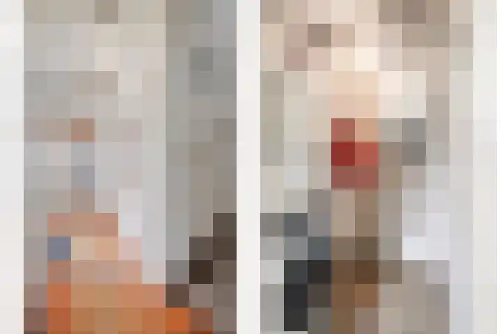 Langenakker 74 Mierlo thumbnail 11