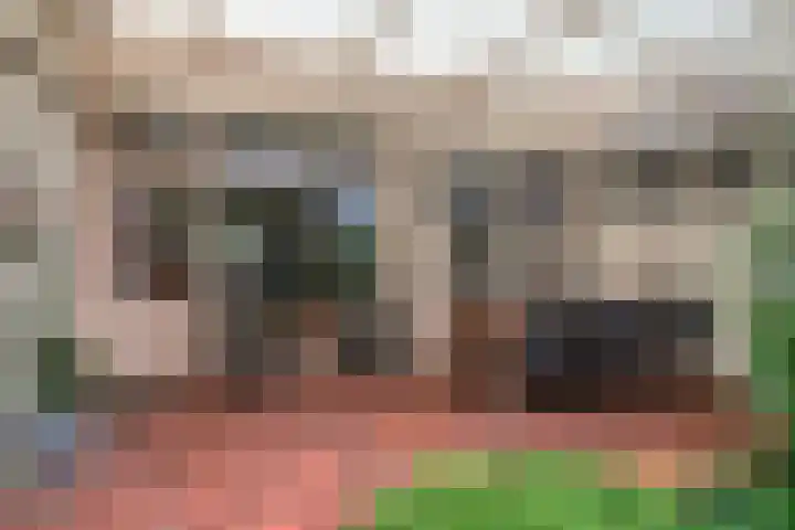 Langenakker 74 Mierlo thumbnail 17