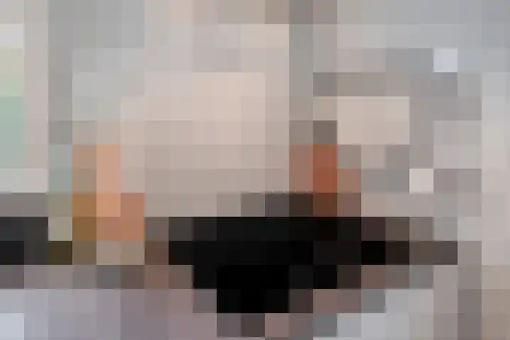 Langenakker 74 Mierlo thumbnail 21